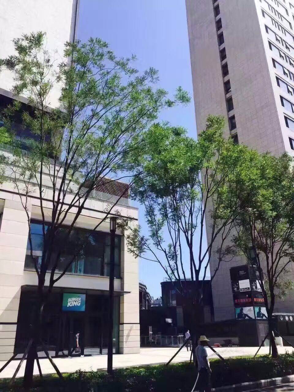 石榴中心辦公樓出租網